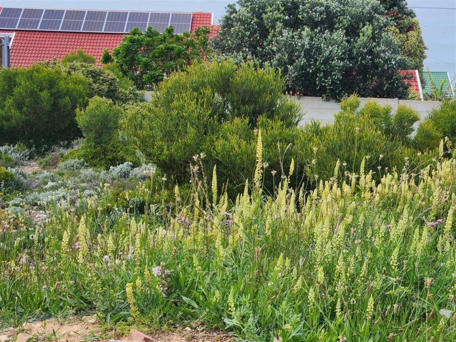 0 Bedroom Property for Sale in Dana Bay Western Cape